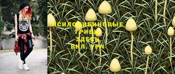 MESCALINE Богородицк